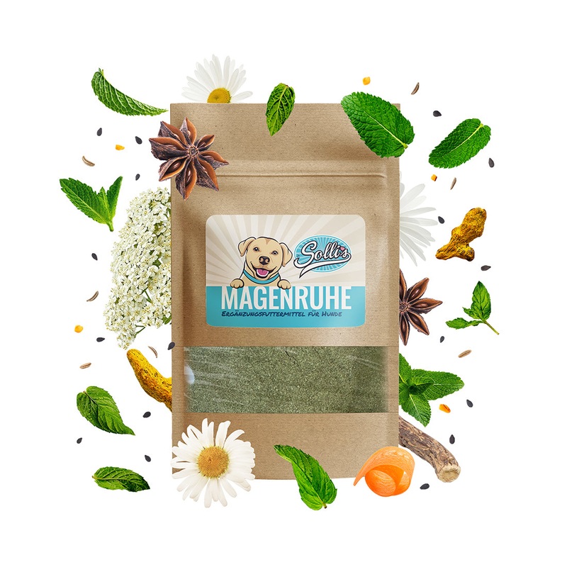 Sollis Hund Futter Solli`s FE Hund Kruterliebe - Magenruhe 100g