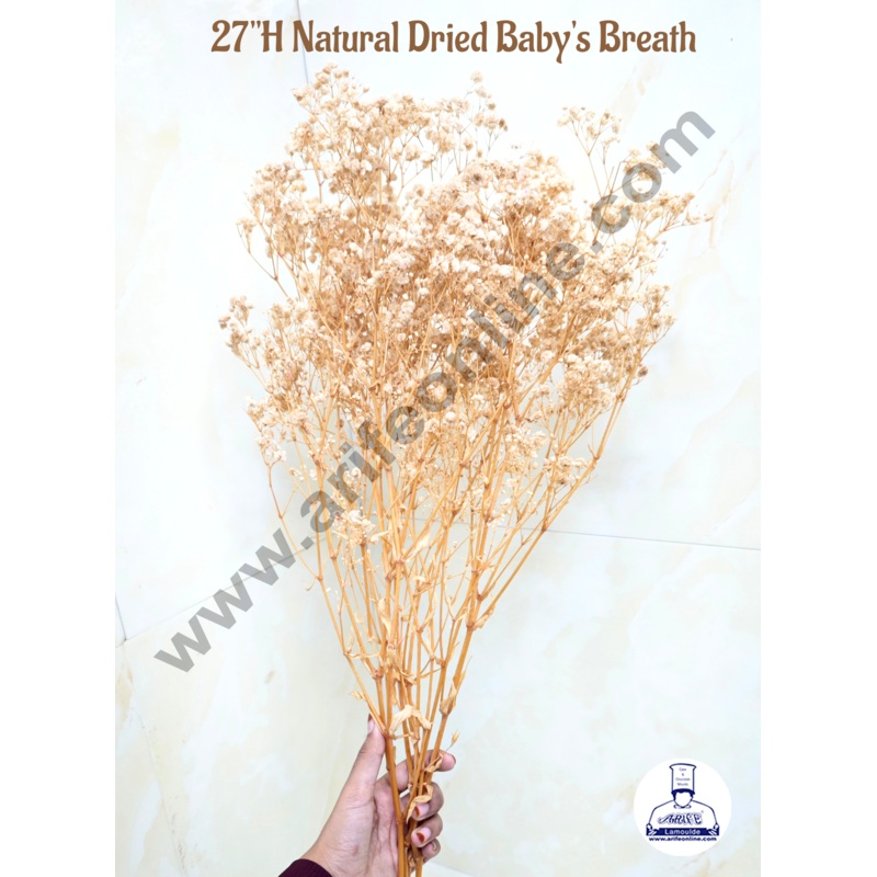 CAKE DECOR 1 Bunch Dried Babys Breath Flower Dried Flower Bouquet,100% Natural Gypsophila Branches  (Ivory)