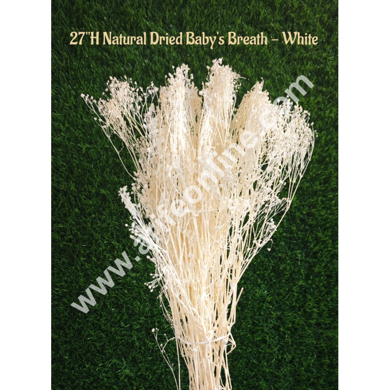 CAKE DECOR 1 Bunch Dried Babys Breath Flower Dried Flower Bouquet,100% Natural Gypsophila Branches (White)