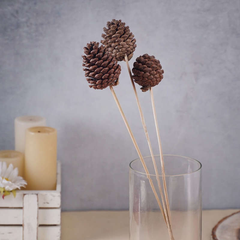 Decorative Pine Cones