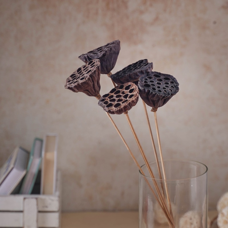 Lotus Seed Pod