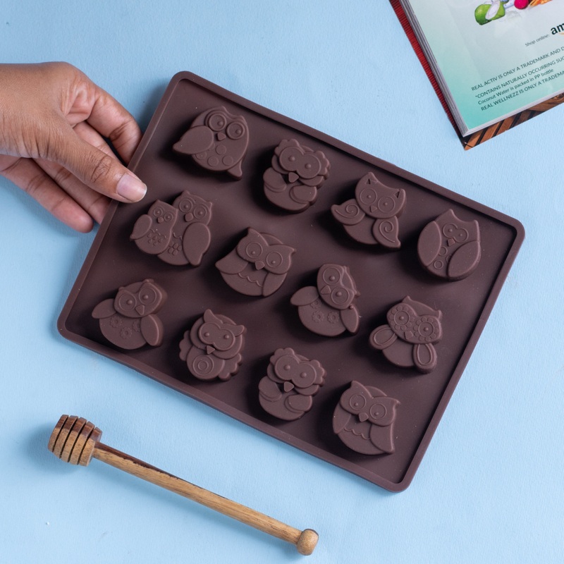Owl Chocolate Mould