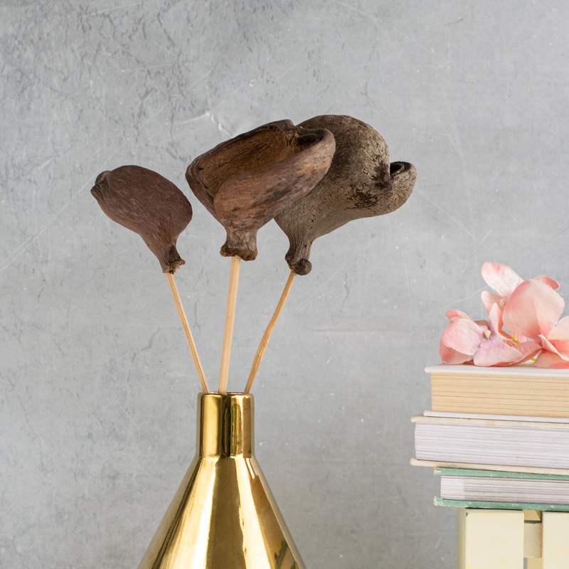 Vase Sticks