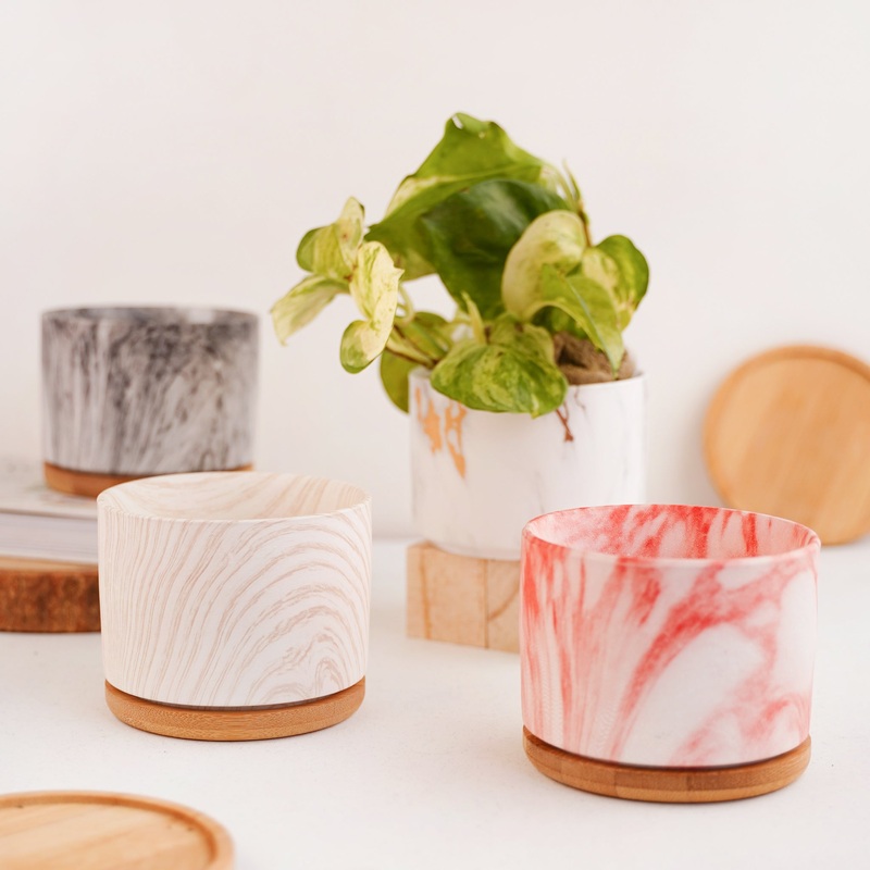 Succulent Plant Pot