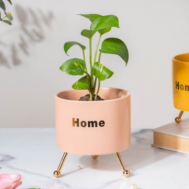 Home Ceramic Planter With Stand Pink