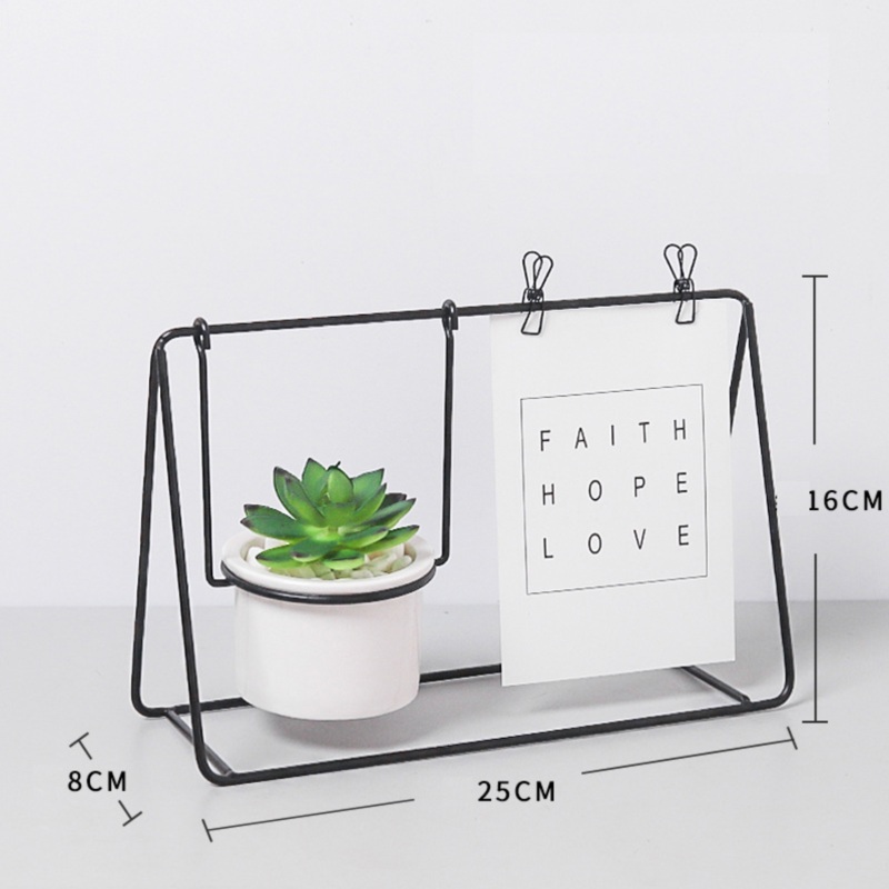 Black Planter with Plant
