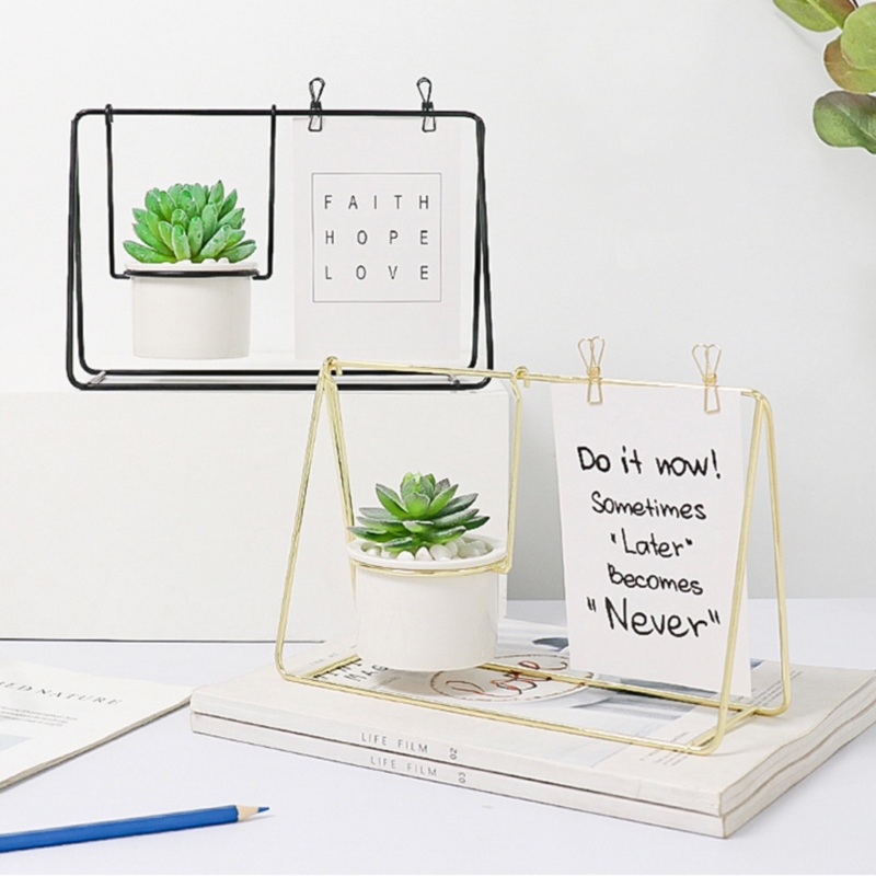 Frame Planter Gold with Plant