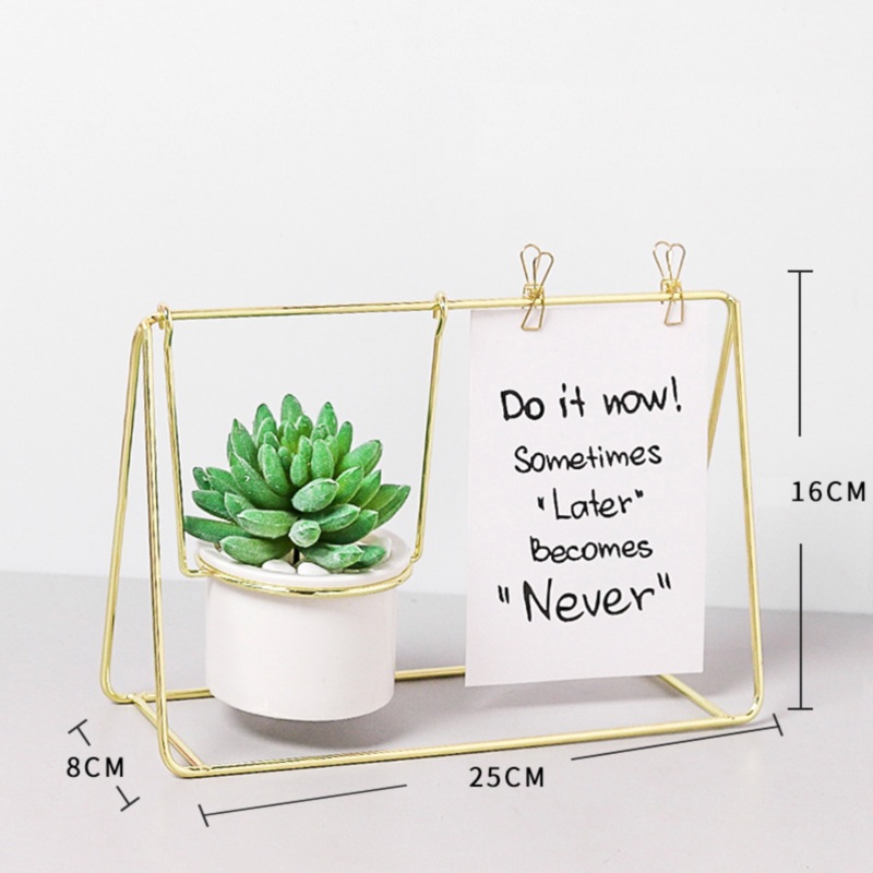 Gold Frame Planter with Plant