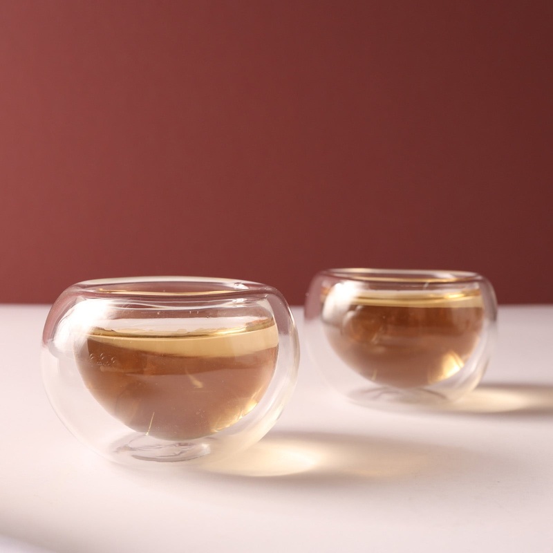 Double Wall Glass Cup