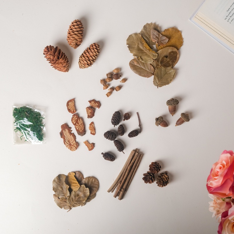 Natural Dried Flowers
