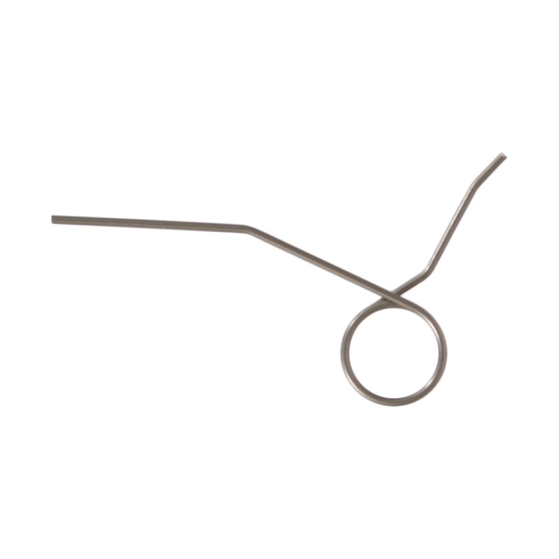 Vacuum Bag Holder Spring S4000 - PM6022540