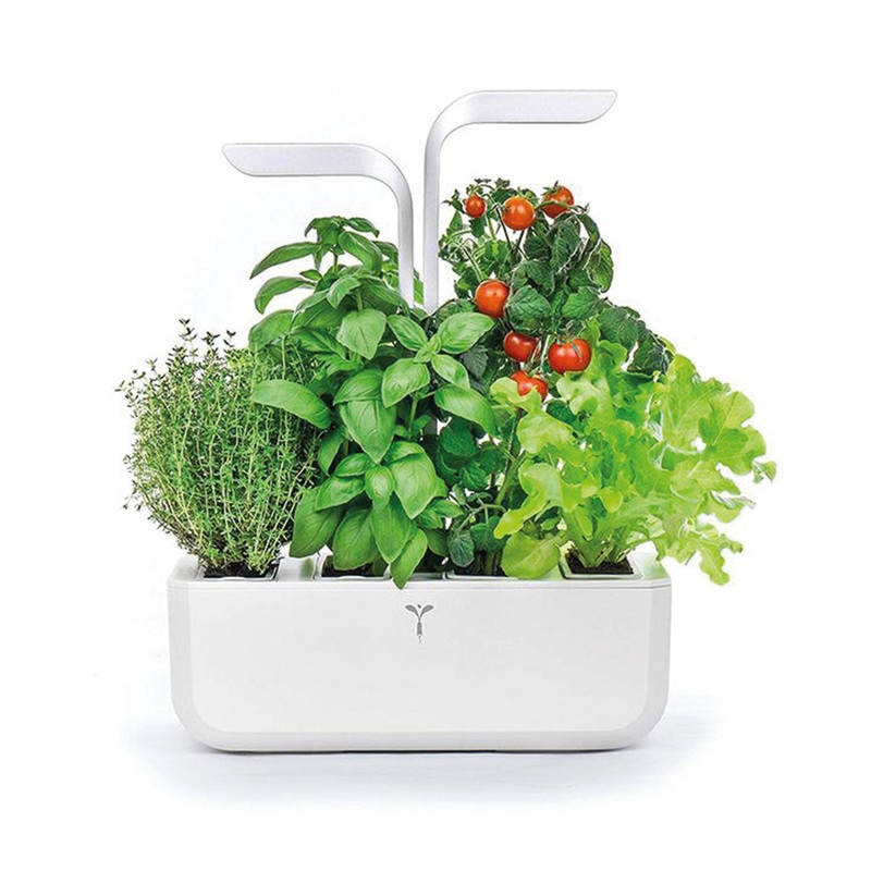 Veritable Herb Garden Classic