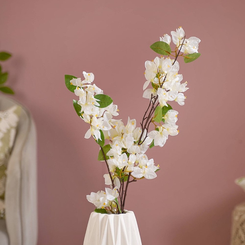 Bougainvillea Flower