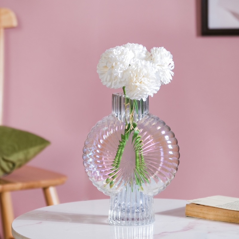 Chrysanthemum White