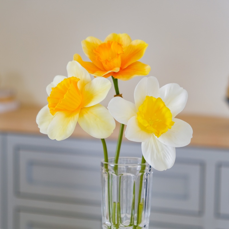 Daffodil Flower