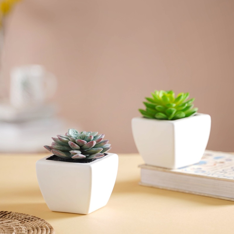 Faux Succulent Plant