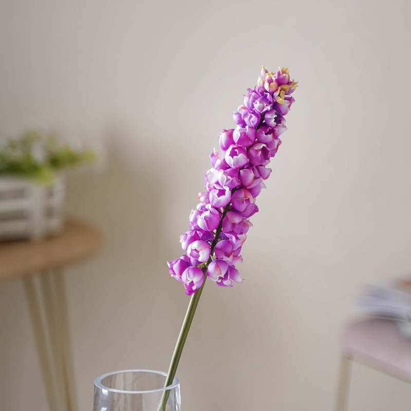Hyacinth Stem