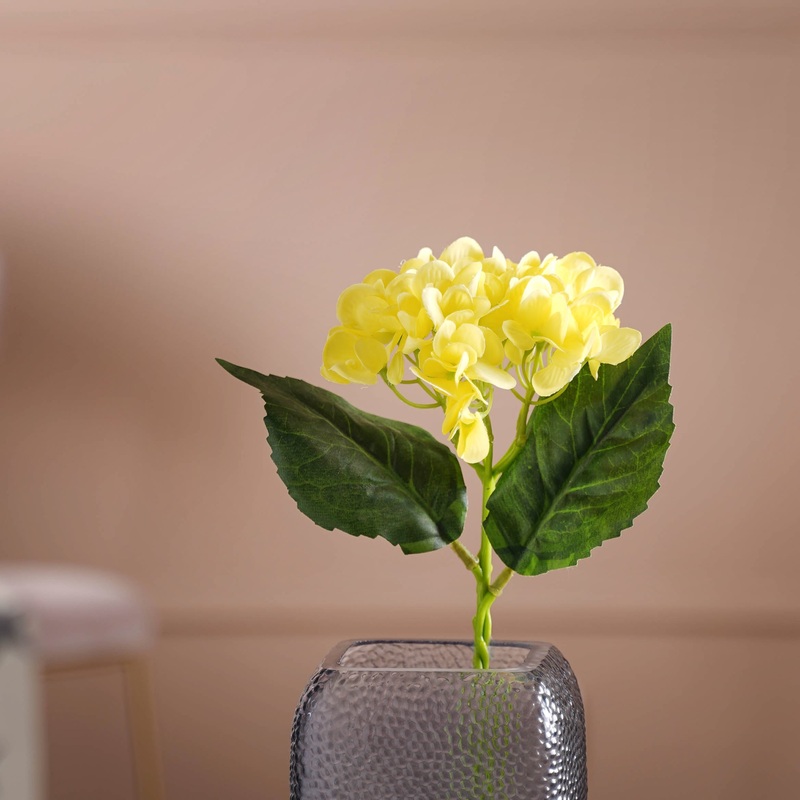 Hydrangea Blossom
