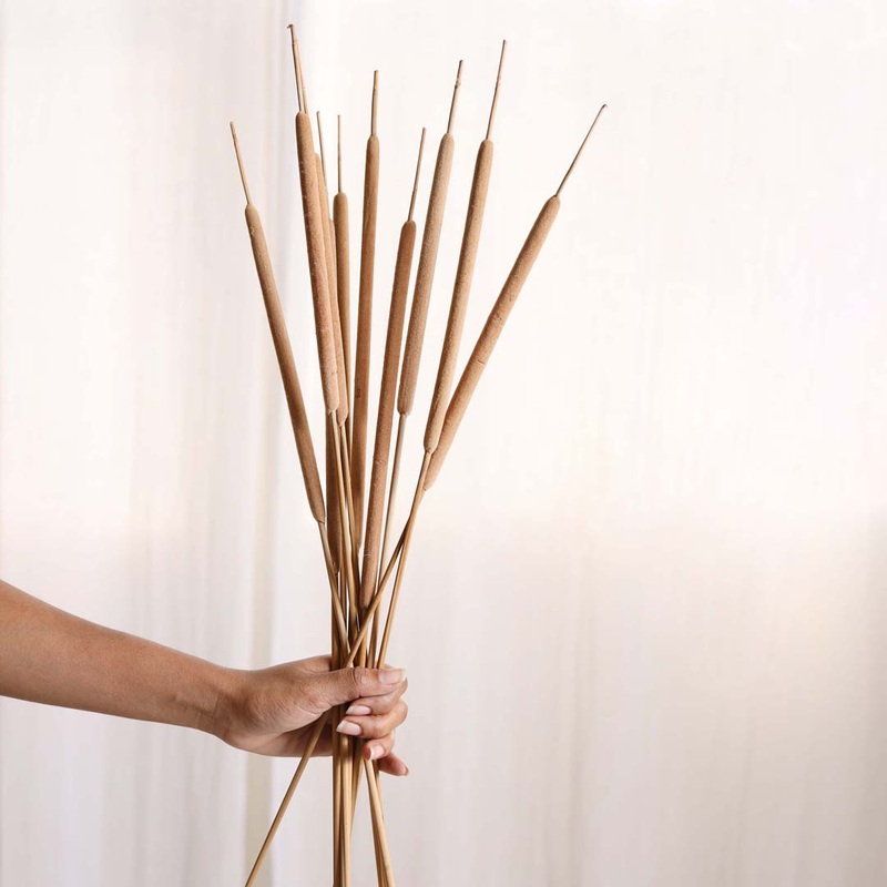 Cattail Stem For Decor
