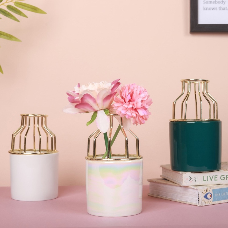 Medium Size Ceramic Pot for Plants