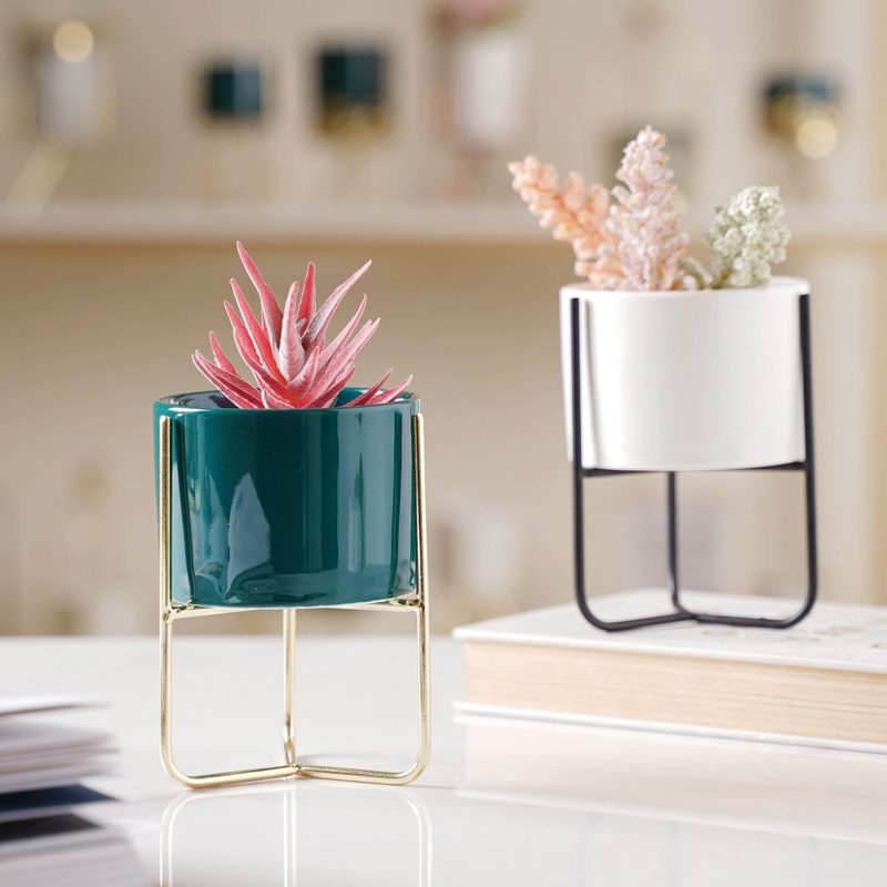 Porcelain Succulent Planters-Small