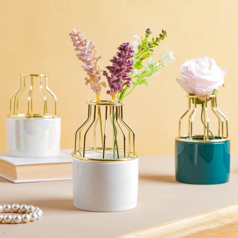 Small Ceramic Pot for Plants