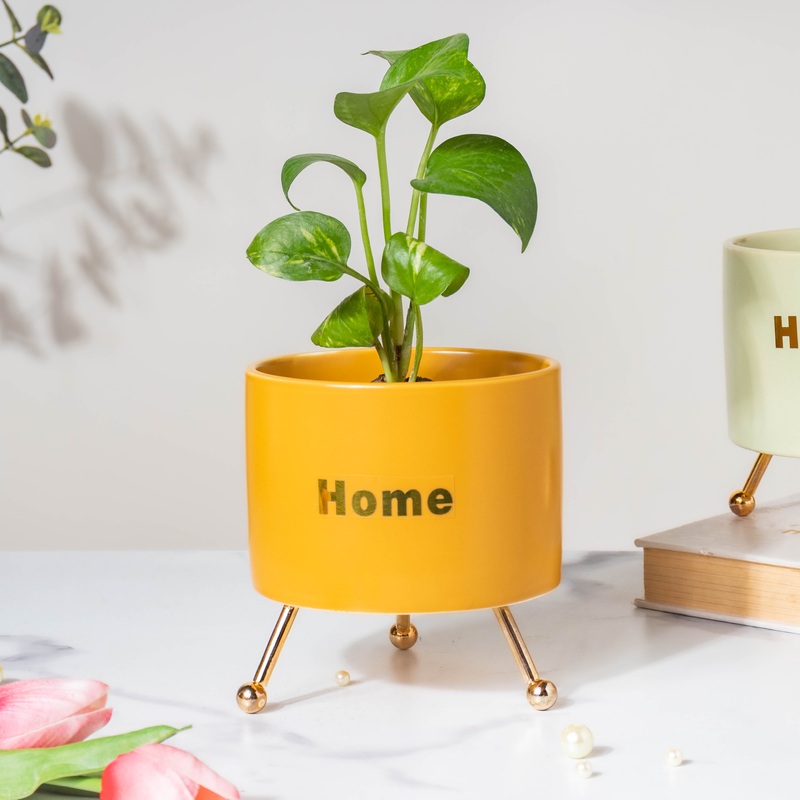 Home Ceramic Planter With Stand Yellow