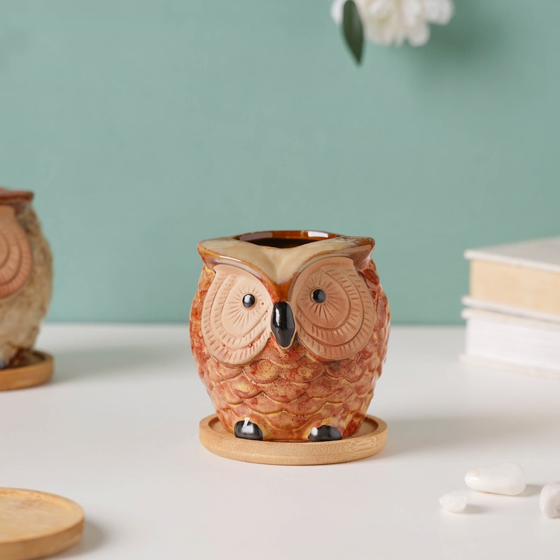 Orange Owl Ceramic Planter With Wooden Coaster