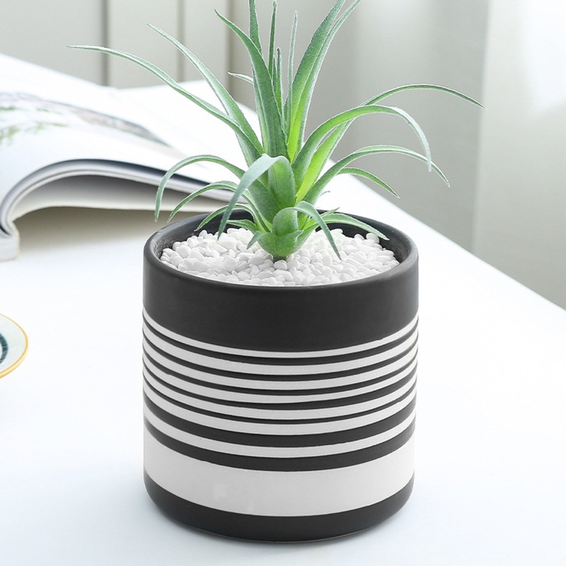 Striped Black and White Vase