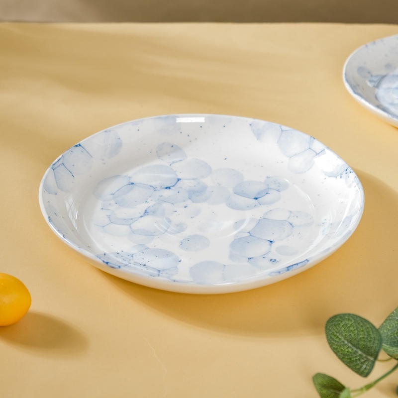 Amusant Dinner Plate