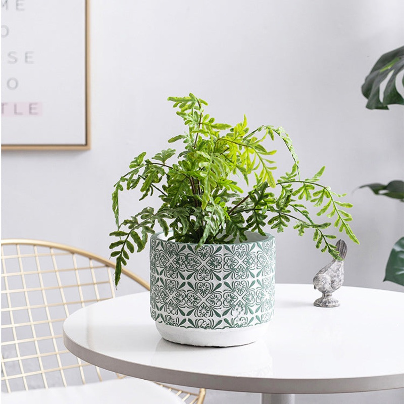 Lush Green Pot Small