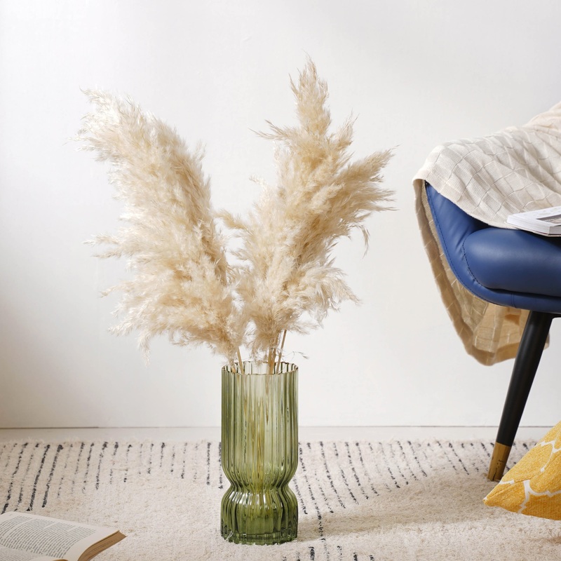 Pampas Grass For Decor