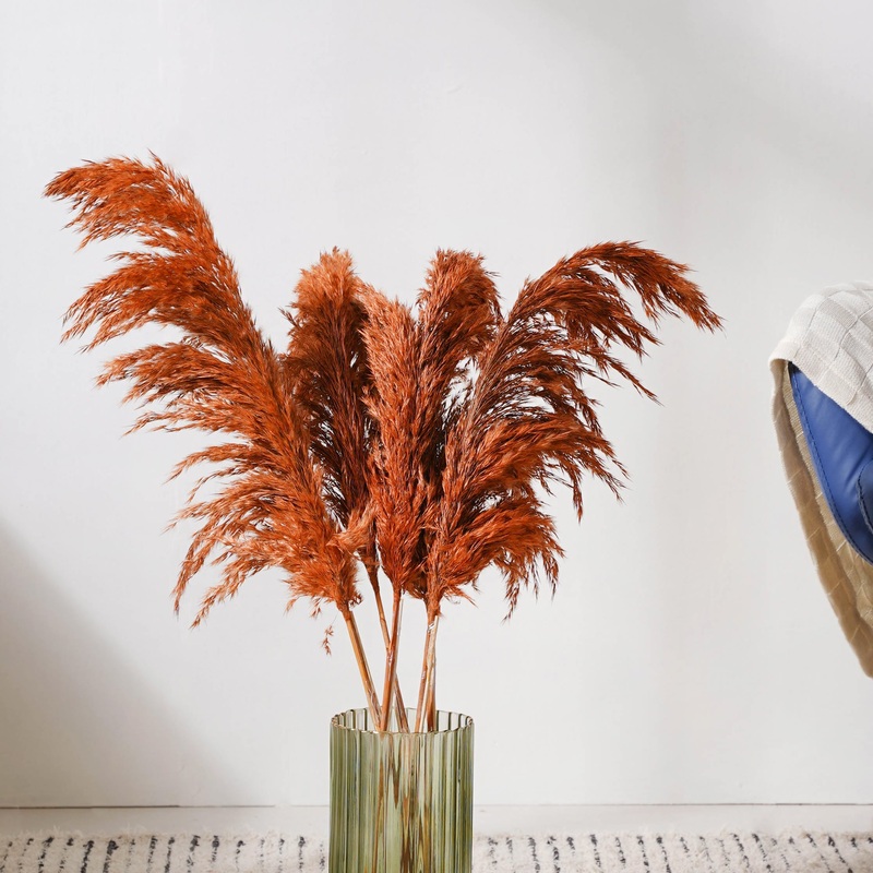 Pampas Grass For Vase