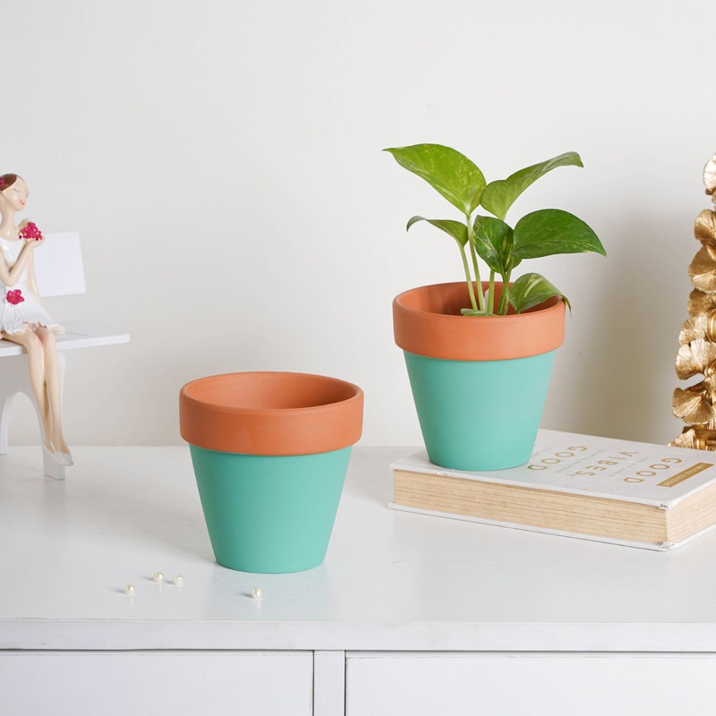 Brown Rim Green Clay Pot Set Of 2