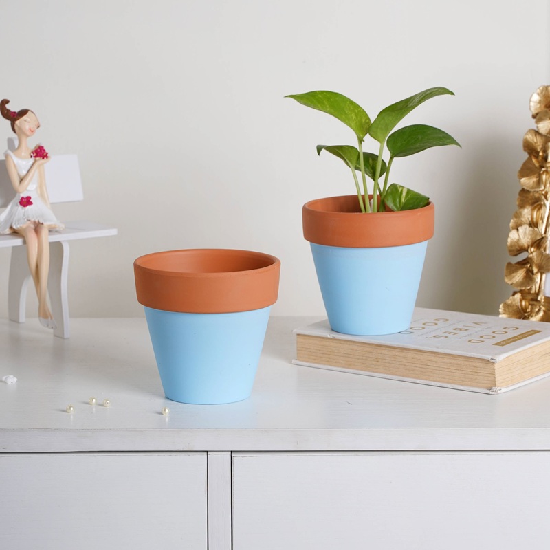 Brown Rim Sky Blue Clay Pot Set Of 2
