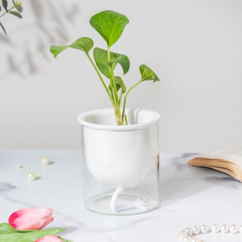 Modern Ivory Ceramic Planter With Glass Stand