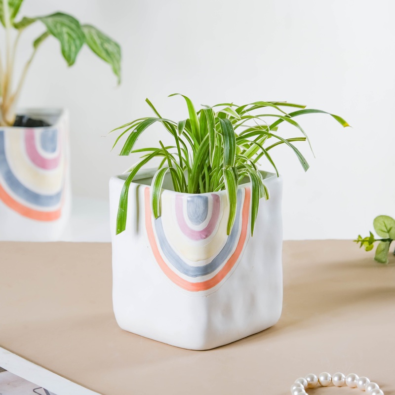 Rainbow Square Pot Small