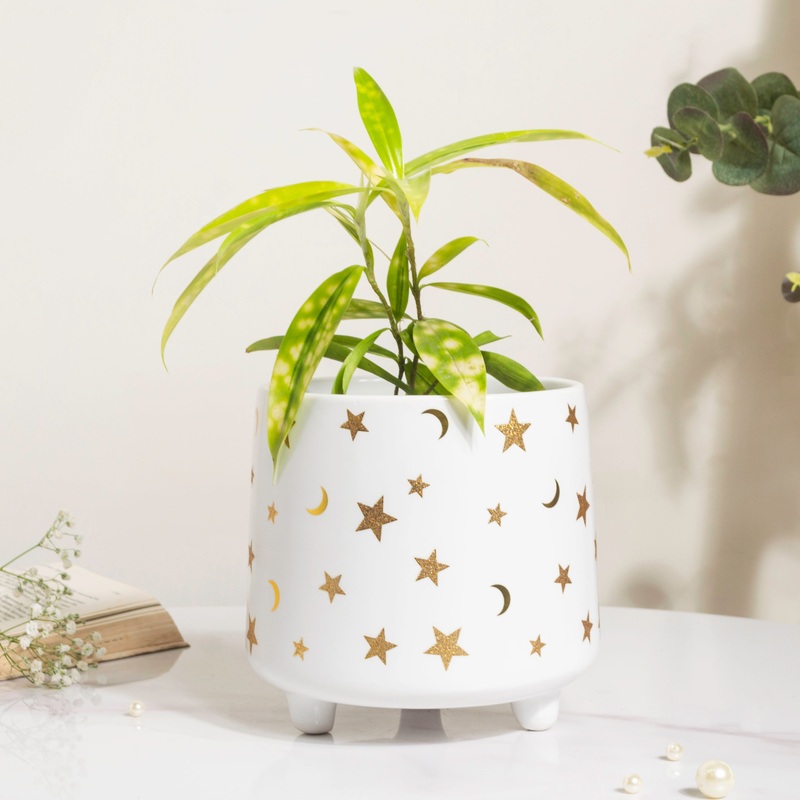 Stars and Moons White Ceramic Planter Large
