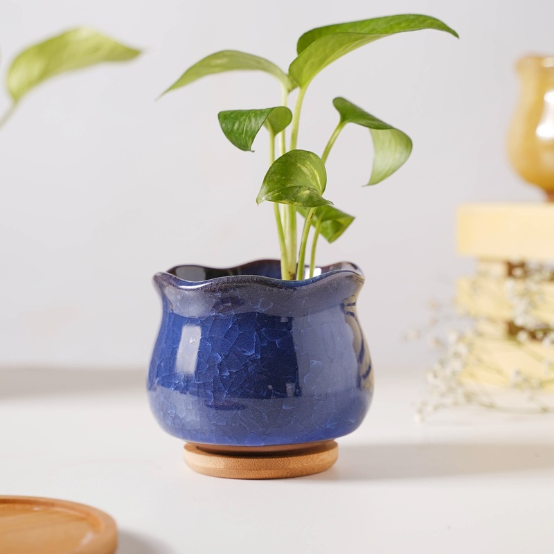 Botanica Azure Ceramic Planter With Coaster