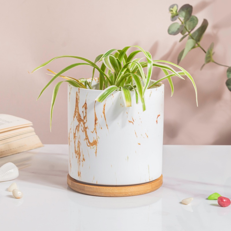Carrara Brown Streak White Ceramic Planter With Wooden Coaster