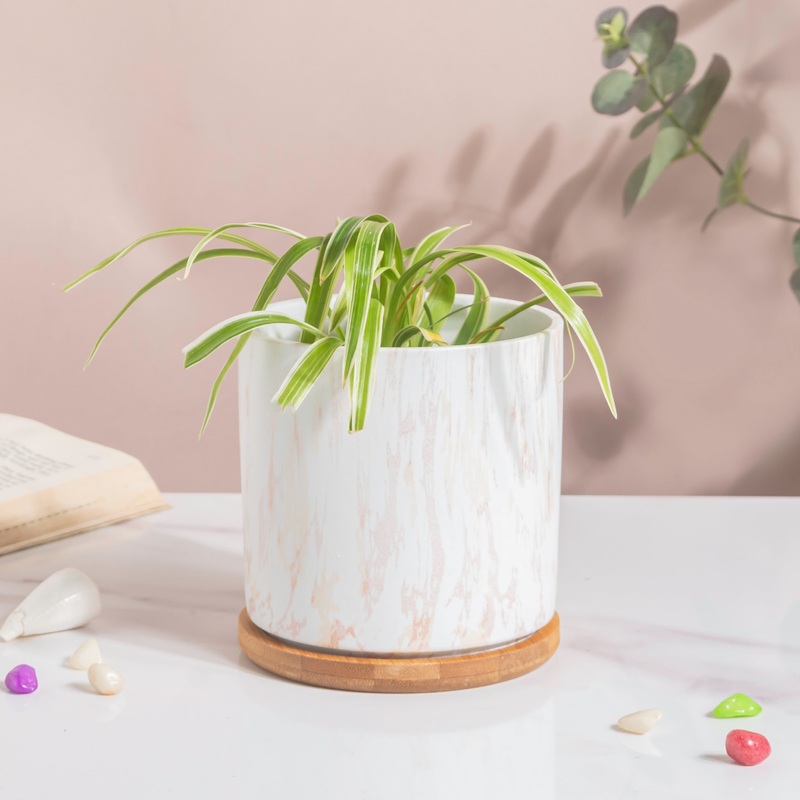 Carrara White And Brown Ceramic Planter With Wooden Coaster