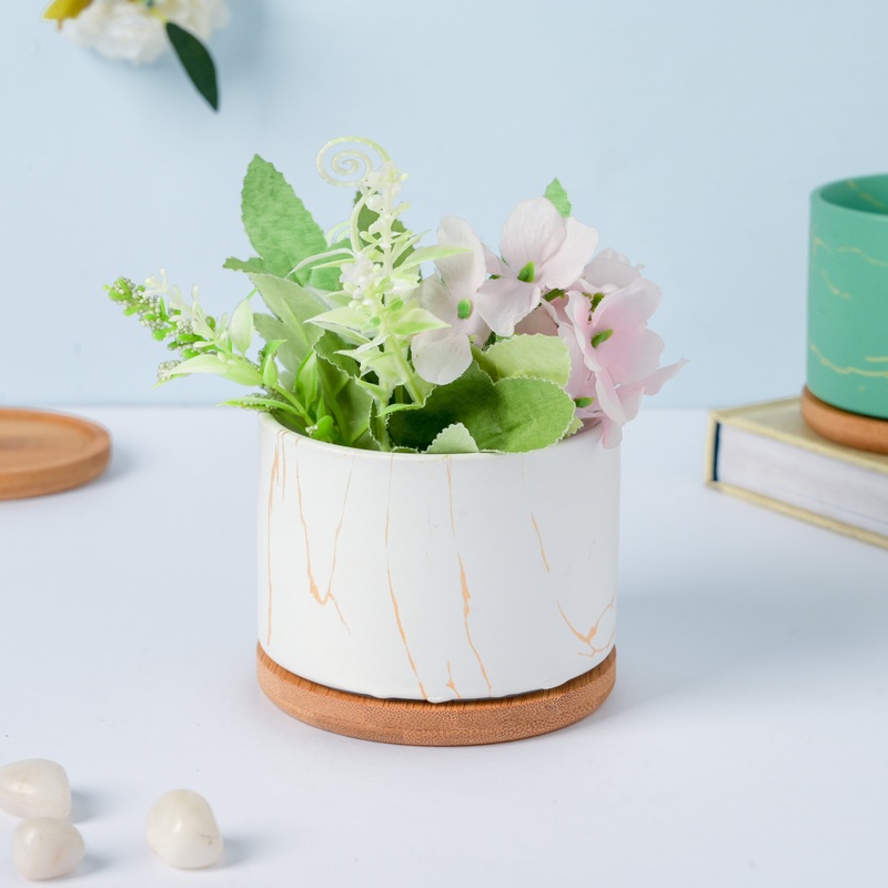 Pure White Ceramic Planter With Coaster