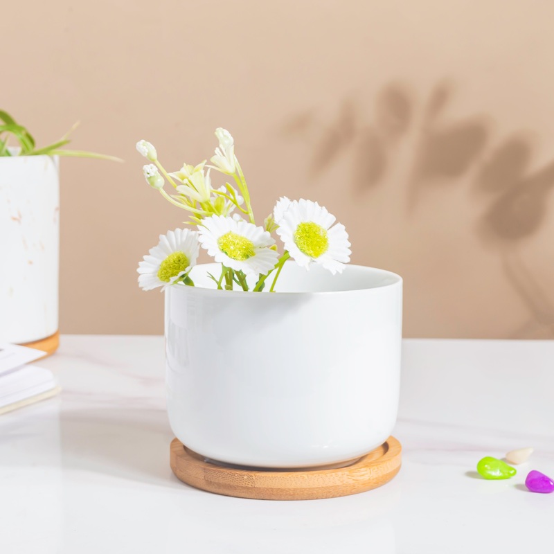 White Mosaic Ceramic Planter And Wooden Coaster