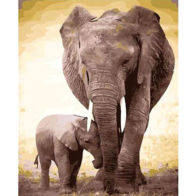 Elephant And Cub DIY Paint By Numbers Kit
