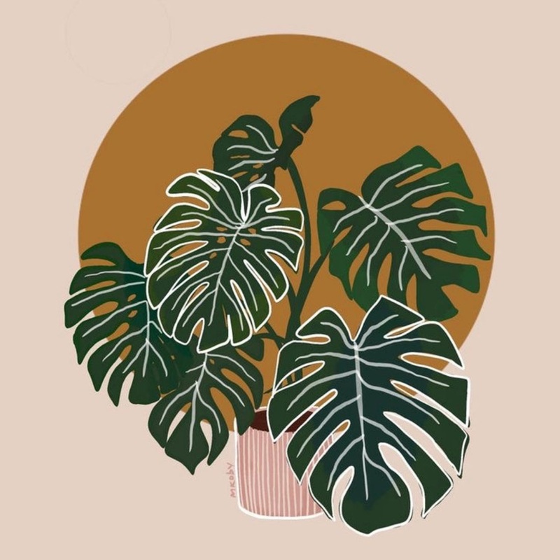 Monstera DIY Kit Paint By Numbers
