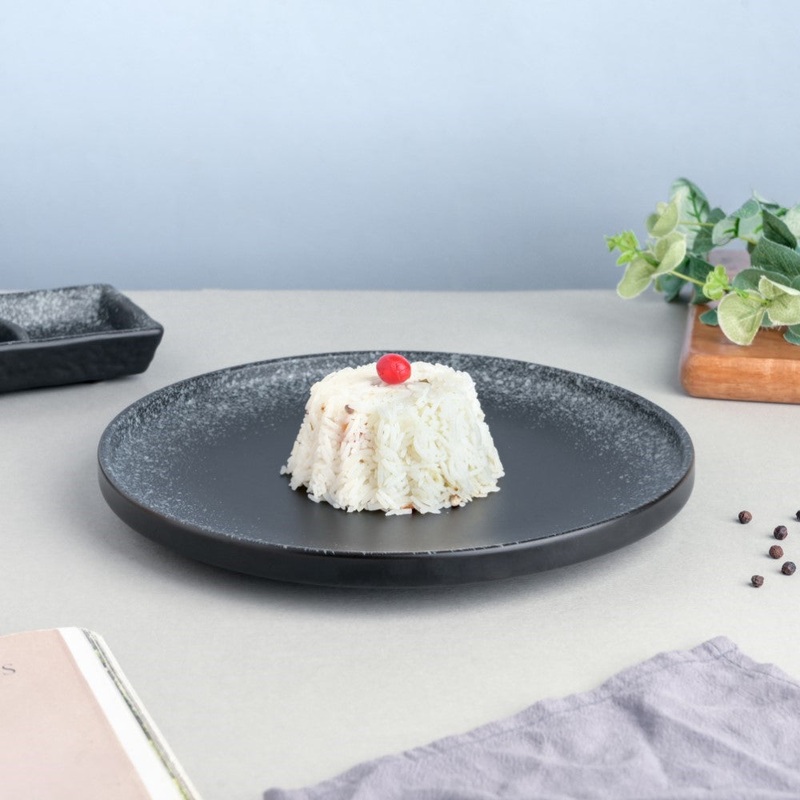 Galaxy Stone Pottery Dinner Plate Black White 10 Inch