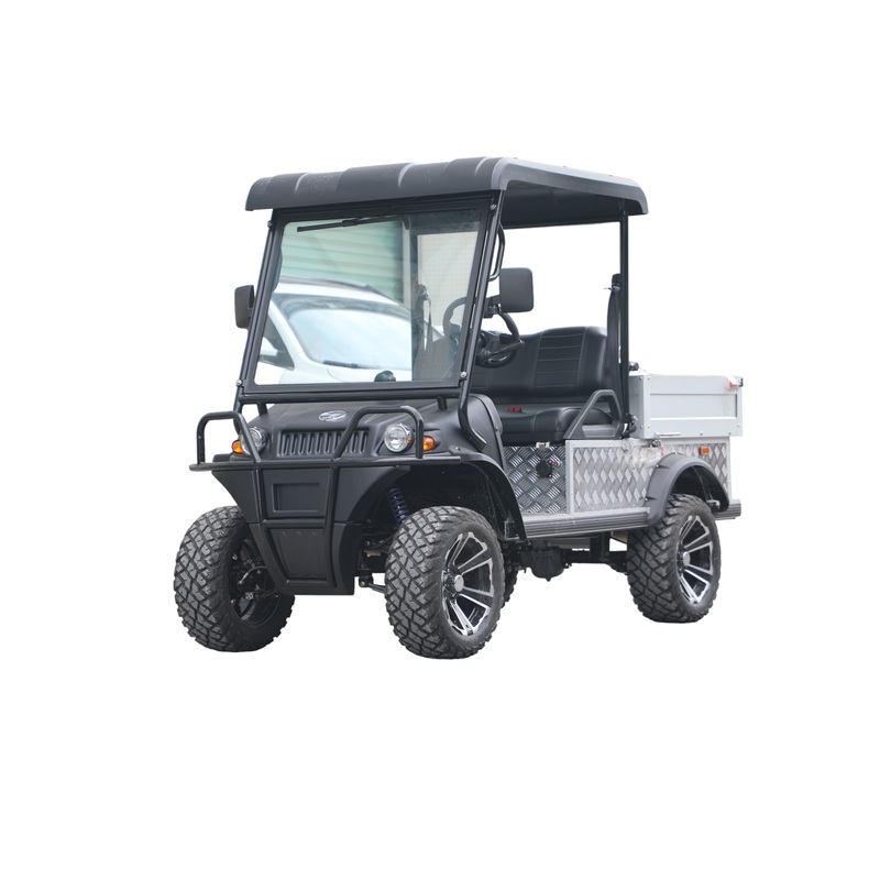 SPC Elektro Cart DEL2023 DUB EEC, schwarz