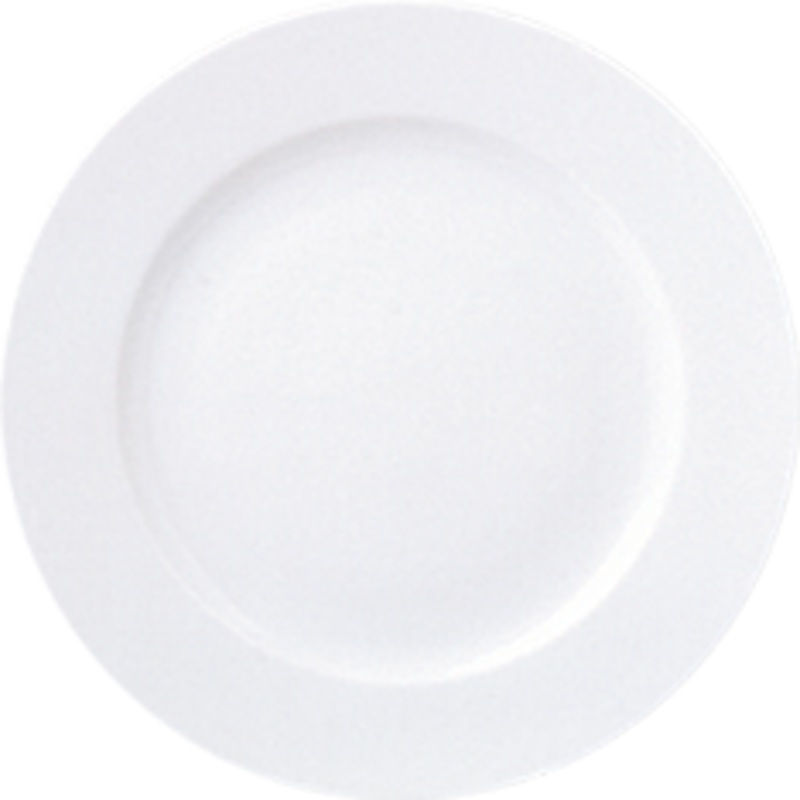 Delta Flat plate 24cm