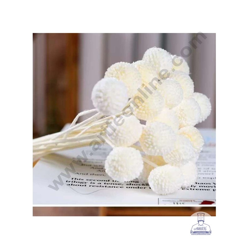 CAKE DECOR White Color Natural Craspedia Balls Billy Buttons For Cake Decoration Bouquet Wedding Party Centerpieces Decorative  White (5 pcs pack)
