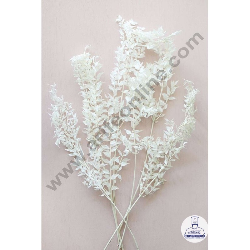 CAKE DECOR White Color Natural Dried Ruscus Leaves For Cake Decoration Bouquet Wedding Party Centerpieces Decorative  White (2 Stick)